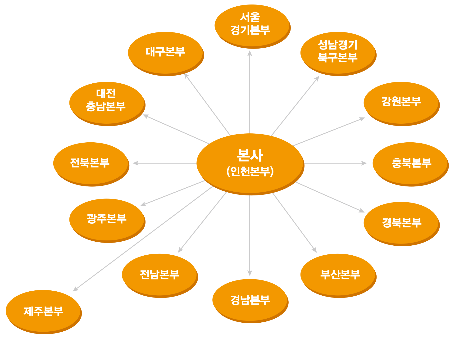 시엘라이프 조직도